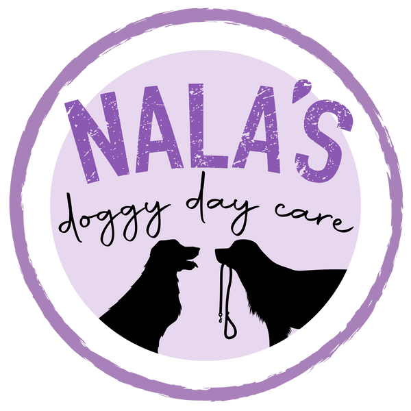 Nalas Day Care